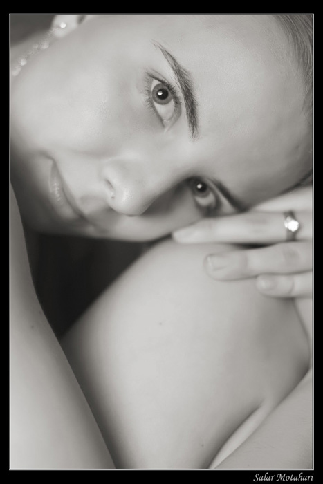 DP Blog
